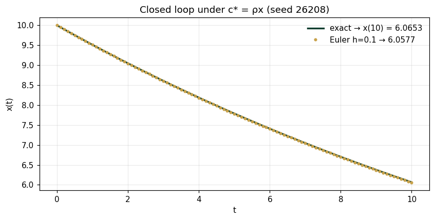 Closed loop under c* = ρx (seed 26208)